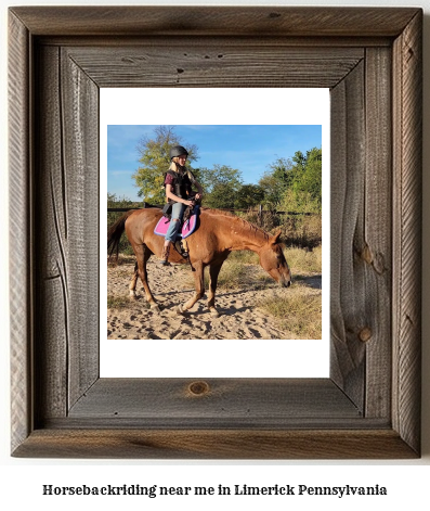 horseback riding near me in Limerick, Pennsylvania